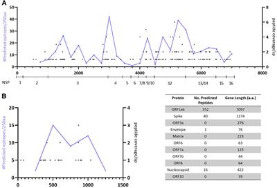 Sampling SARS-CoV-2 Proteomes for Predicted CD8 T-Cell Epitopes as a Tool for Understanding Immunogenic Breadth and Rational Vaccine Design